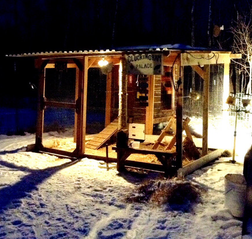 The run on a November night. Coop is in back.