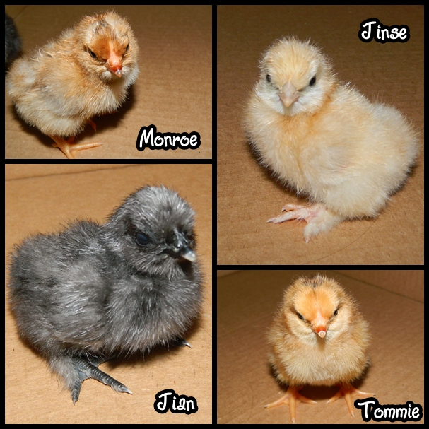 The second 4