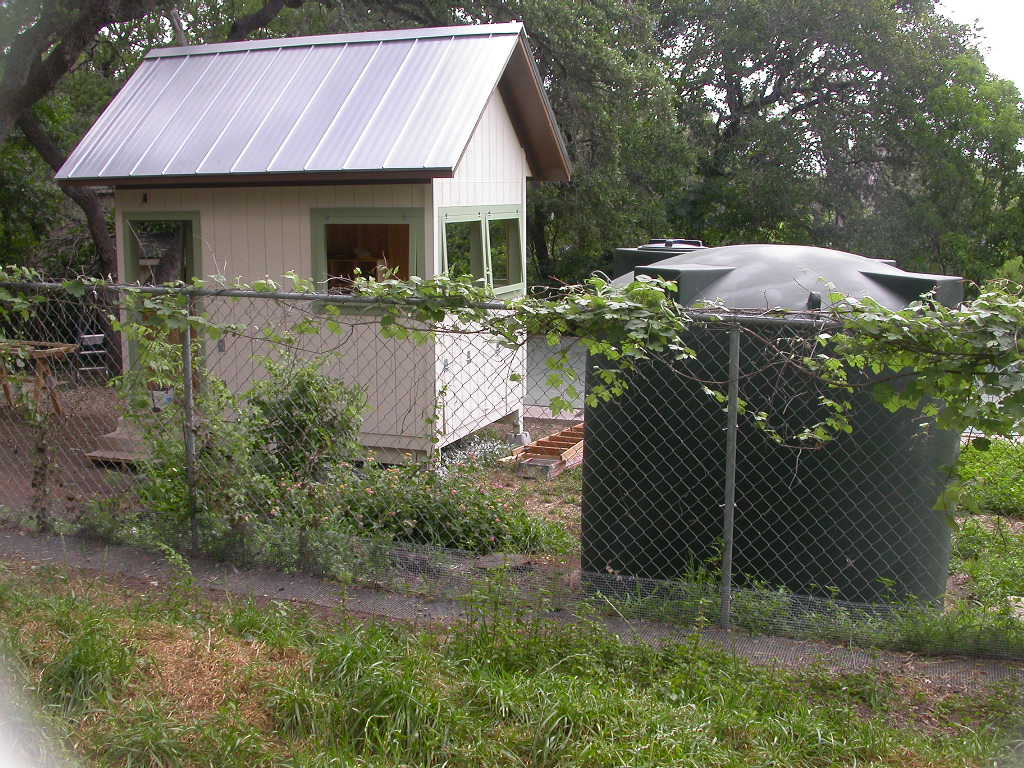 The second, big coop with rainwater collection. Sleeps 48. This coop is people-friendly, as well as chicken-friendly.