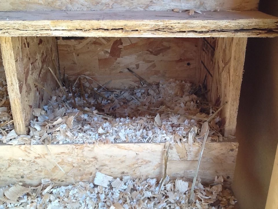The second favorite nest box