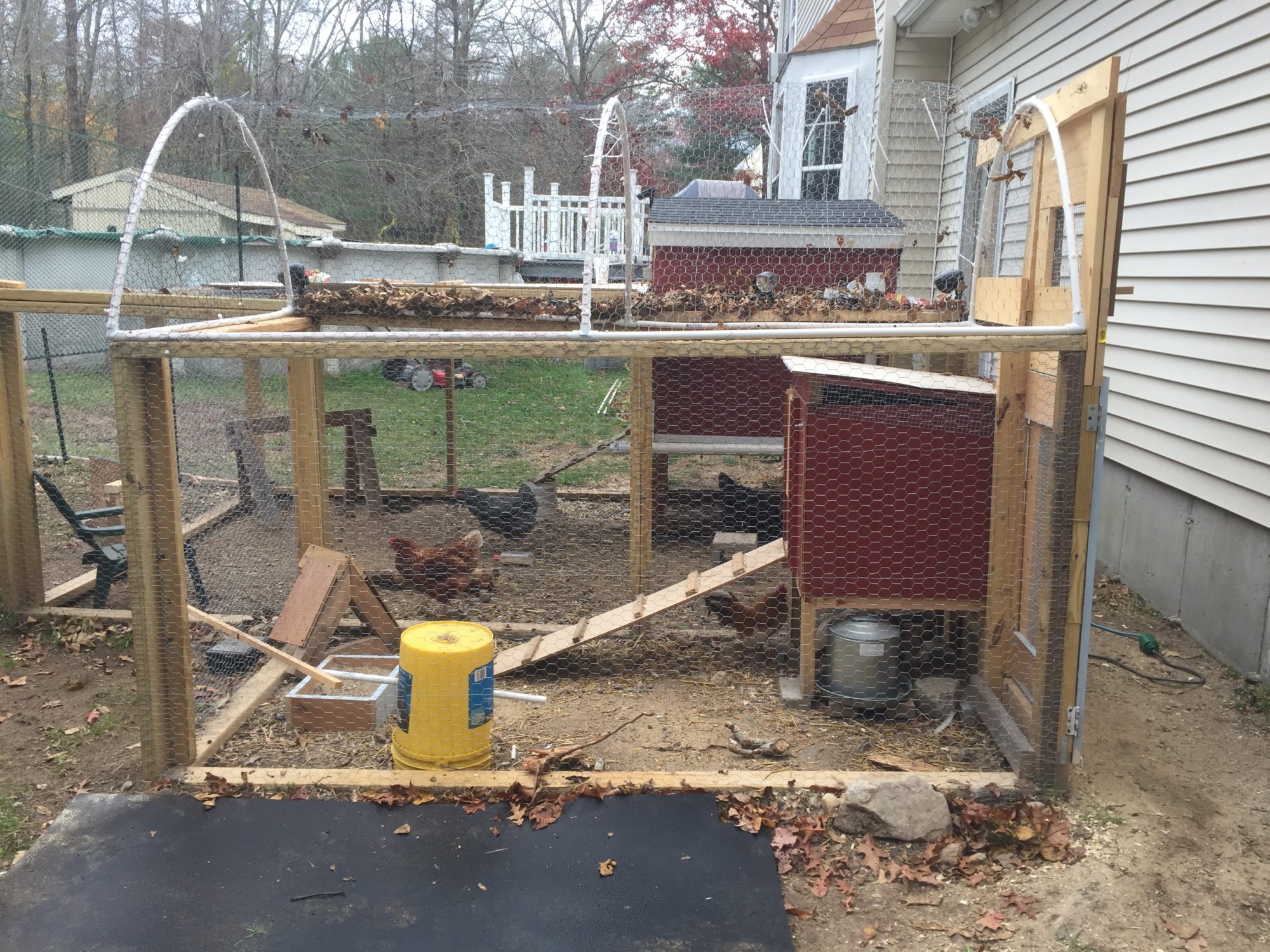 The Serama coop next to the big hens coop. I added a half moon PVC frame to give enough height for people to get in and out.