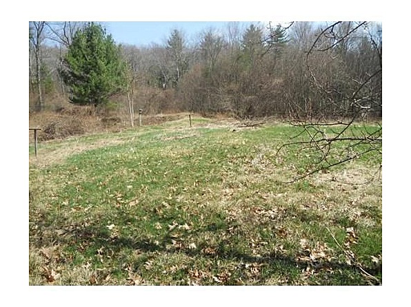 The side yard. The current owners have not cared for it very much, so it's starting to fill in with scrub. It will take some cleaning up, but I think this is where the flock will reside.