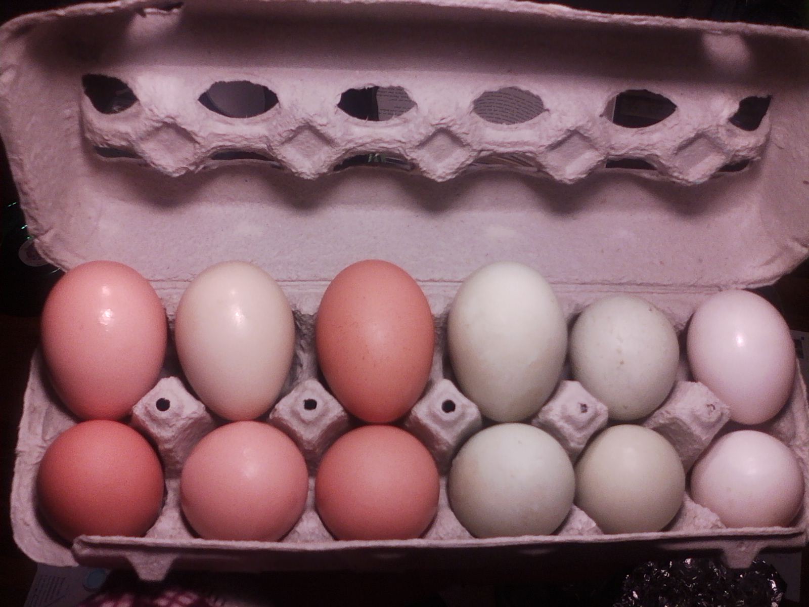 The six on the right are duck eggs.  Left side is Cinnamon, the round ones are from Little Pea (is that why they are round?) and the white ones are from Thunder.  The six on the left are hen eggs.