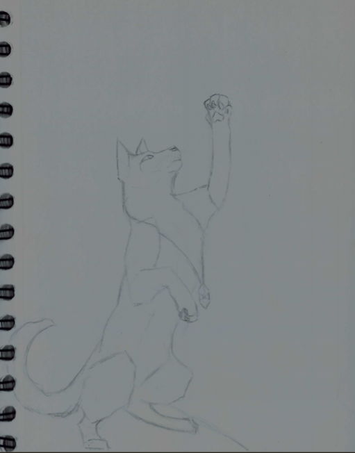 The skeleton sketch for my newest digital piece, Hear me StarClan!