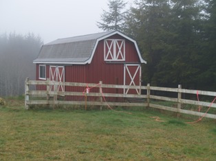The small door on the end is the goose stall