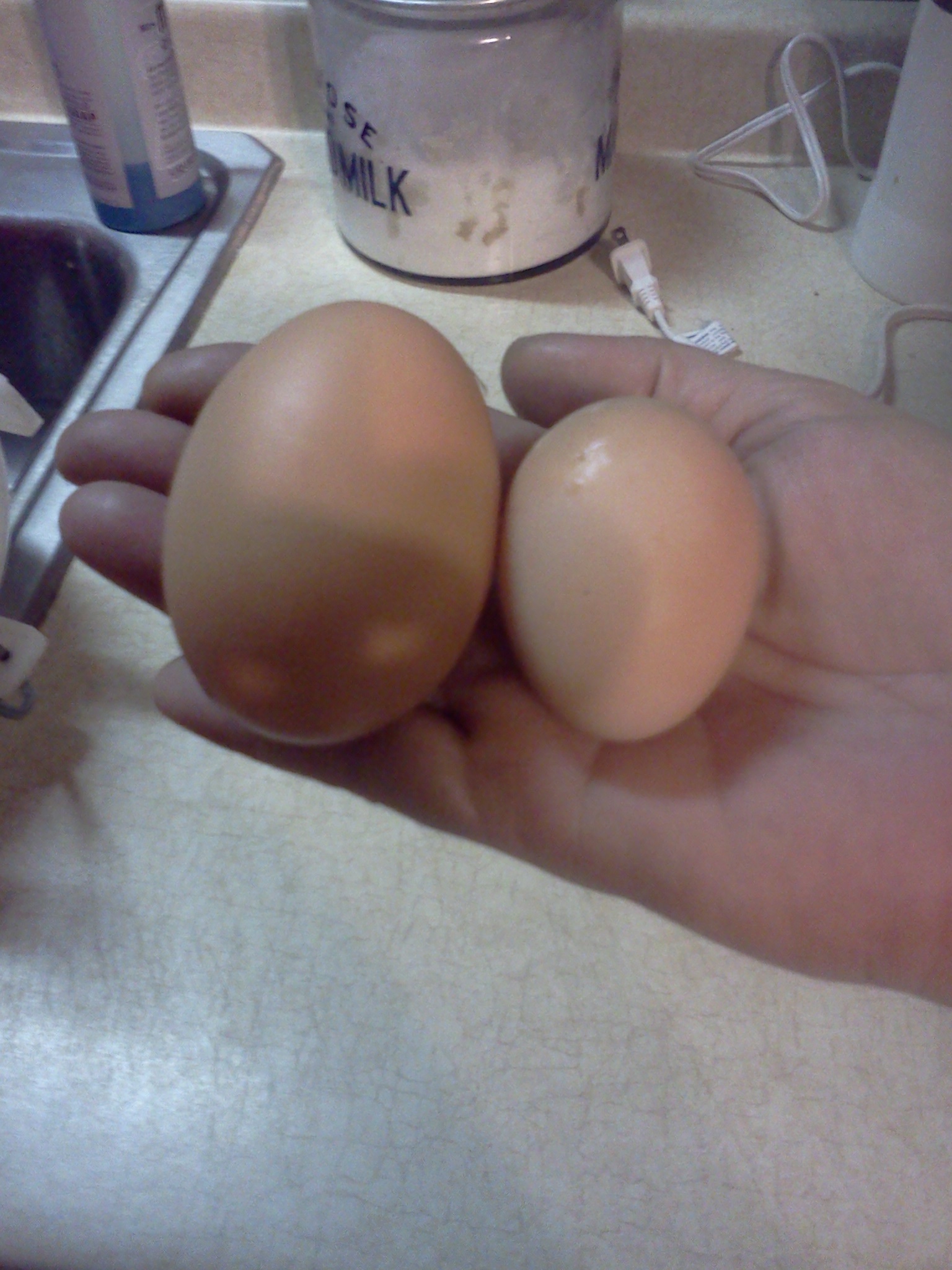 The small one is a large, god that hadda hurt.....  We get these once in a while, more when they were younger.