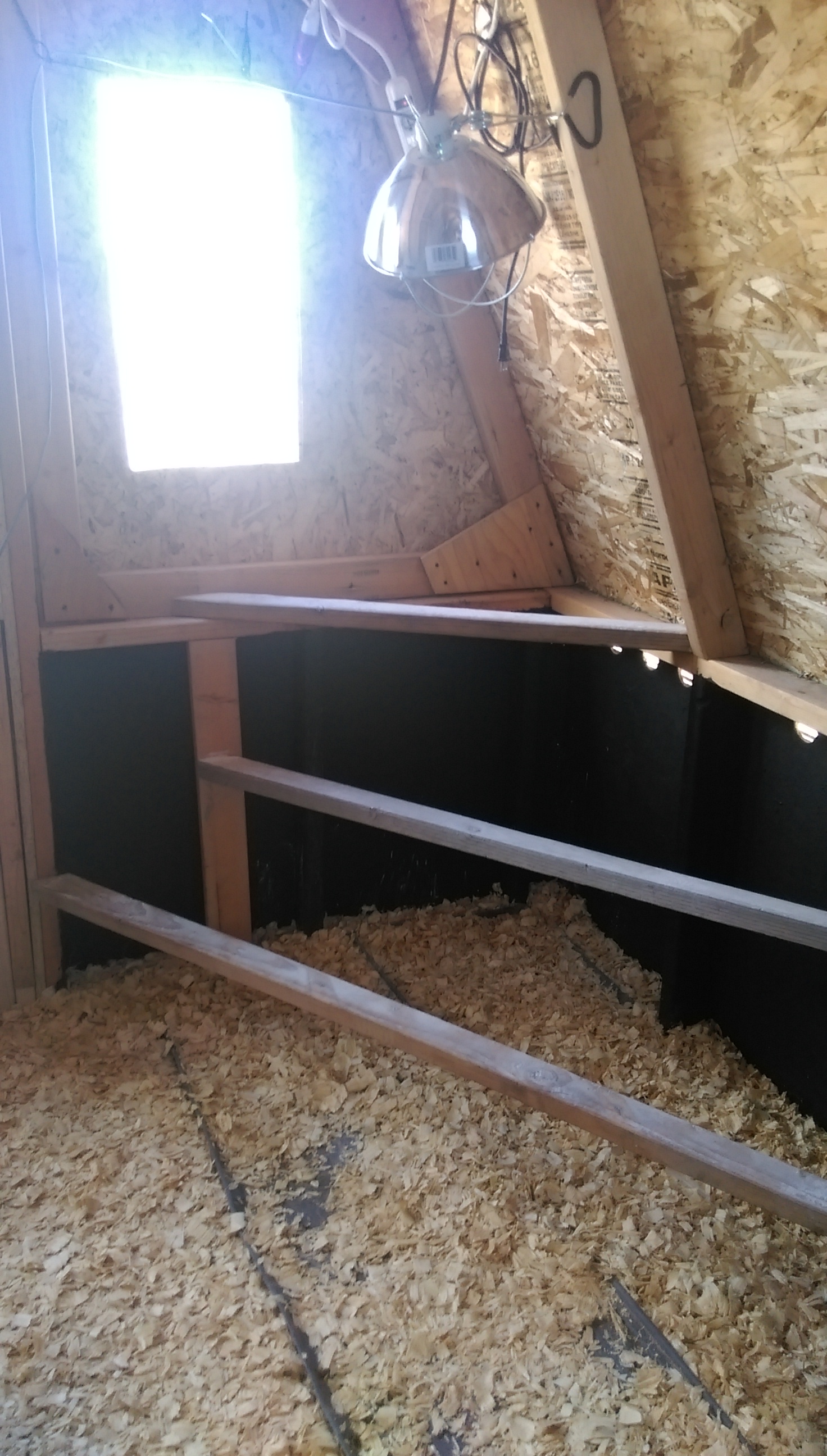 The spiral staircase perch