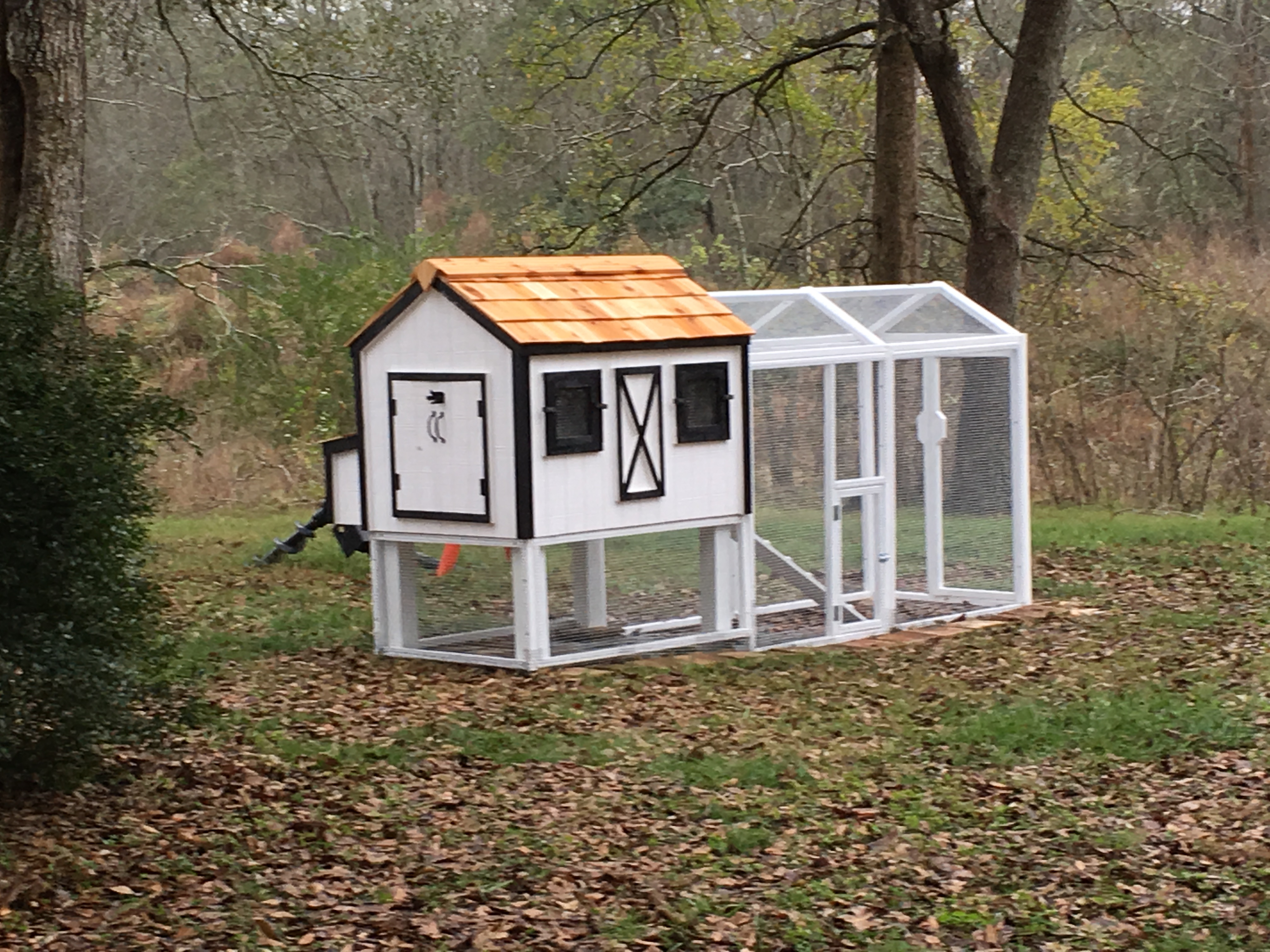The starter coop that was supposed to fit 10 chickens! (Ha, ha!!)