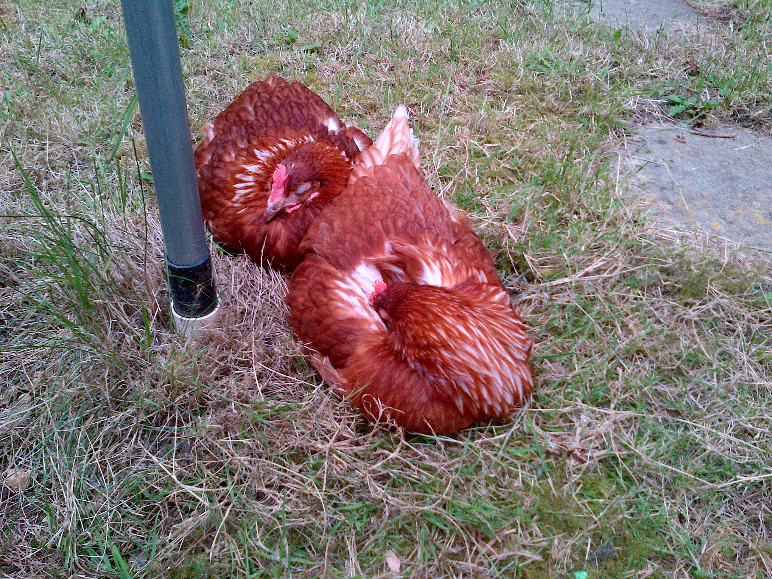 The sun's going down...