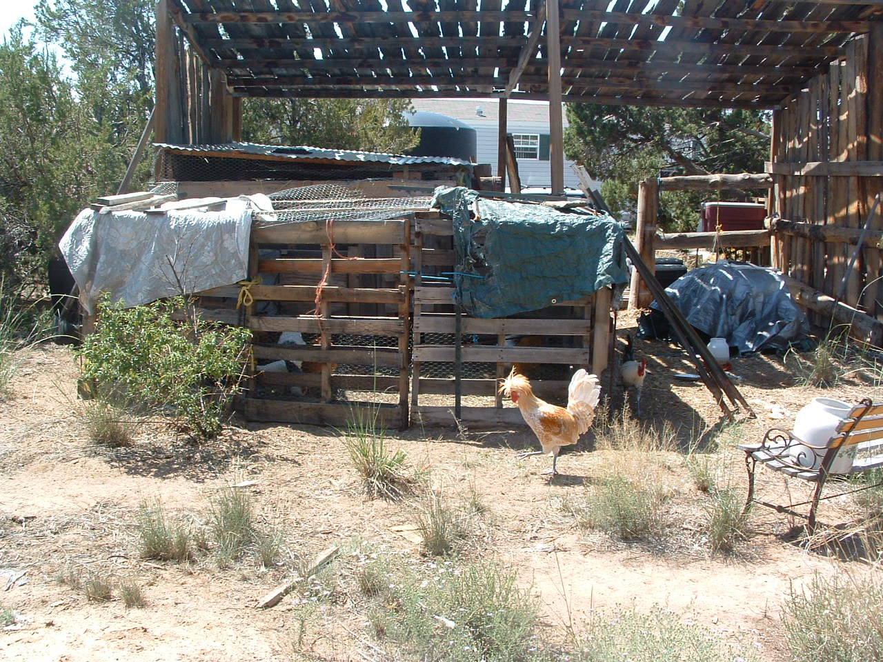 the tarps are for shade and rain protection.