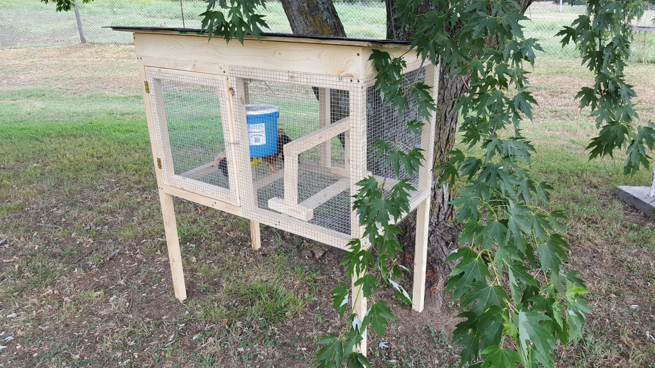 The temporary outside cage.