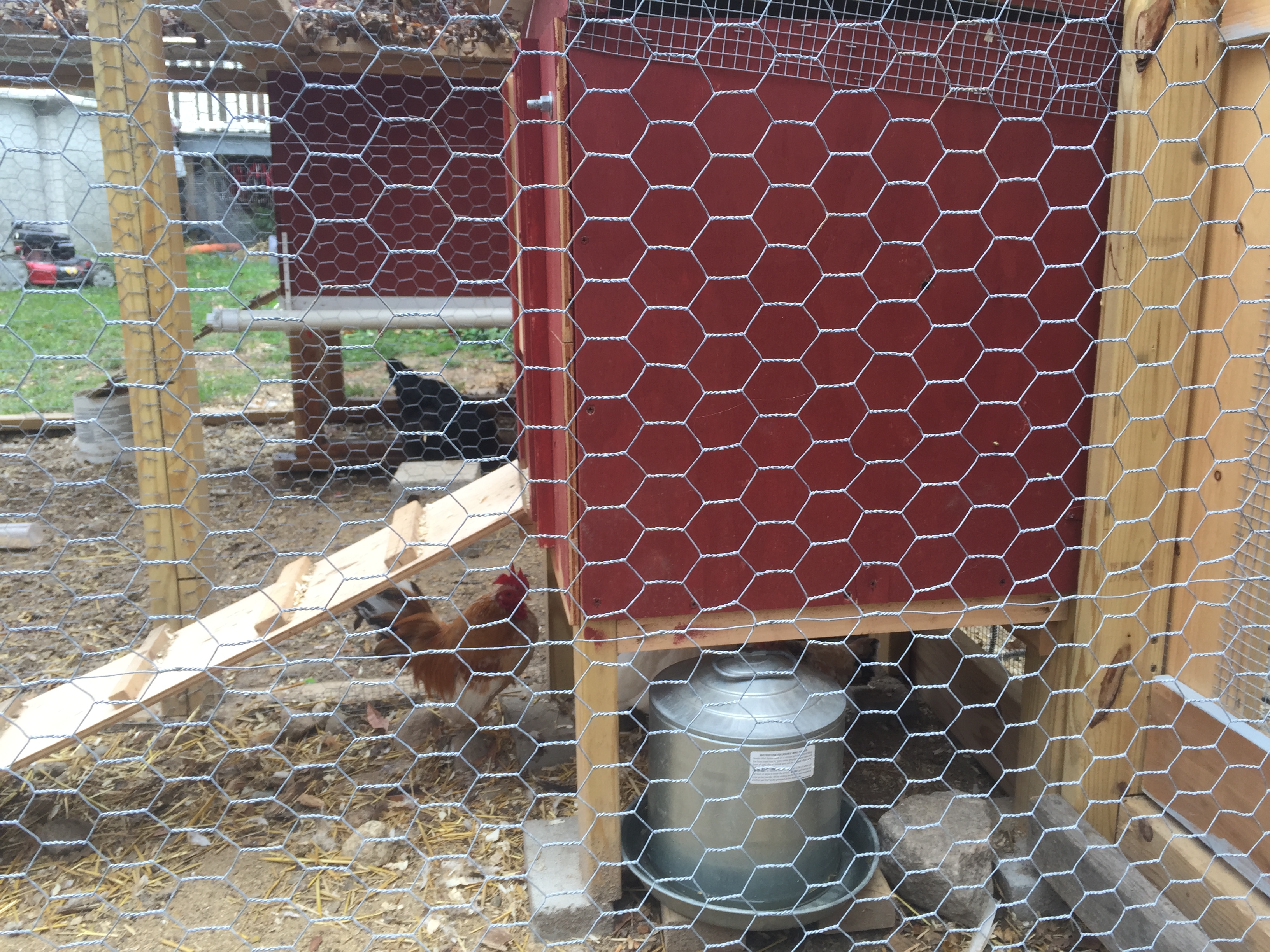 The thrown together Serama Coop. 2X2X2 with vents and a roost inside.