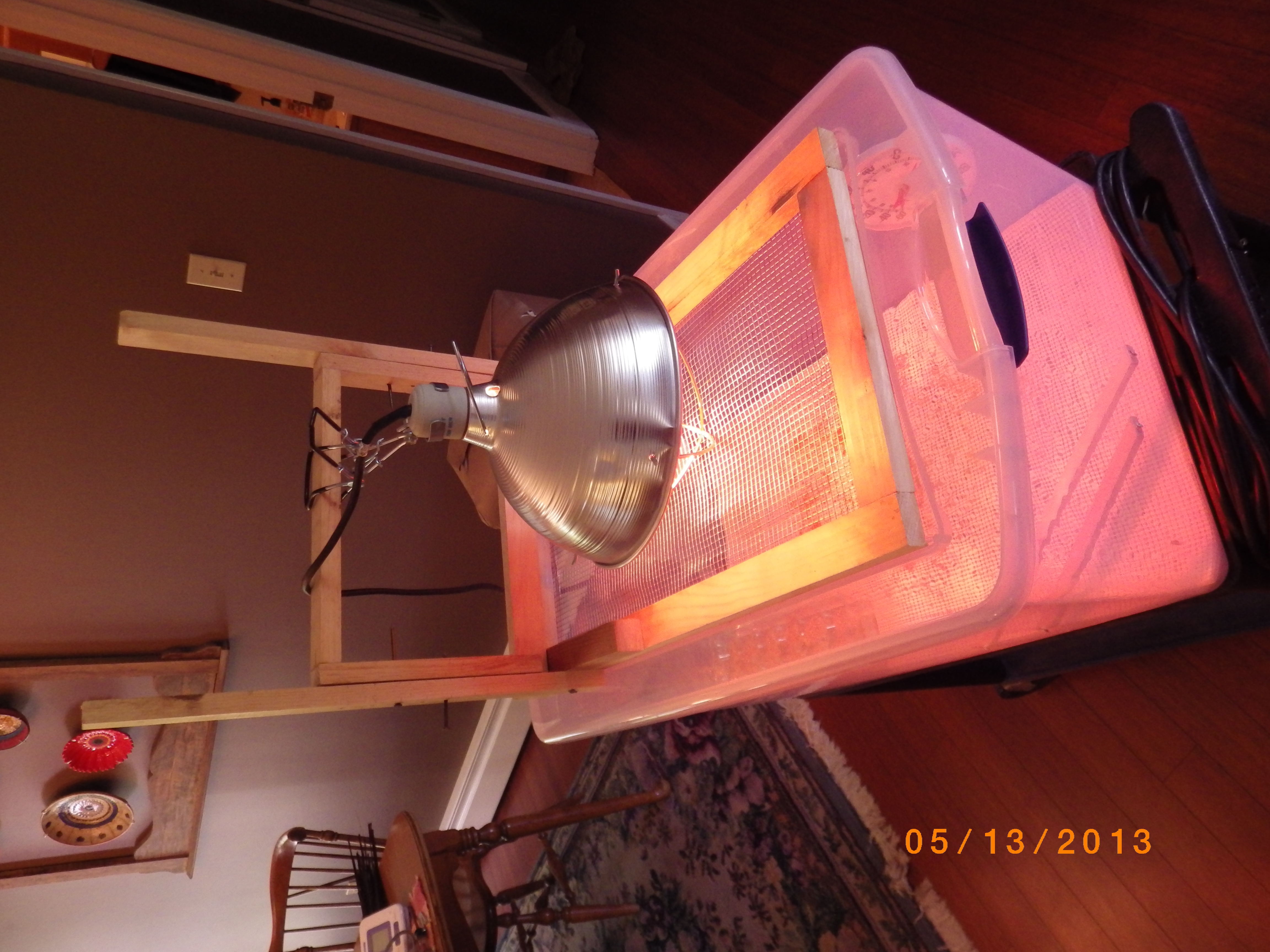 The top of the brooder.  There is a wood frame with hardware cloth on the center opening.  The lamp clamps to the wood frame on the top.