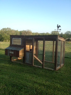 The tractor coop we built out of repurposed, reclaimed materials.