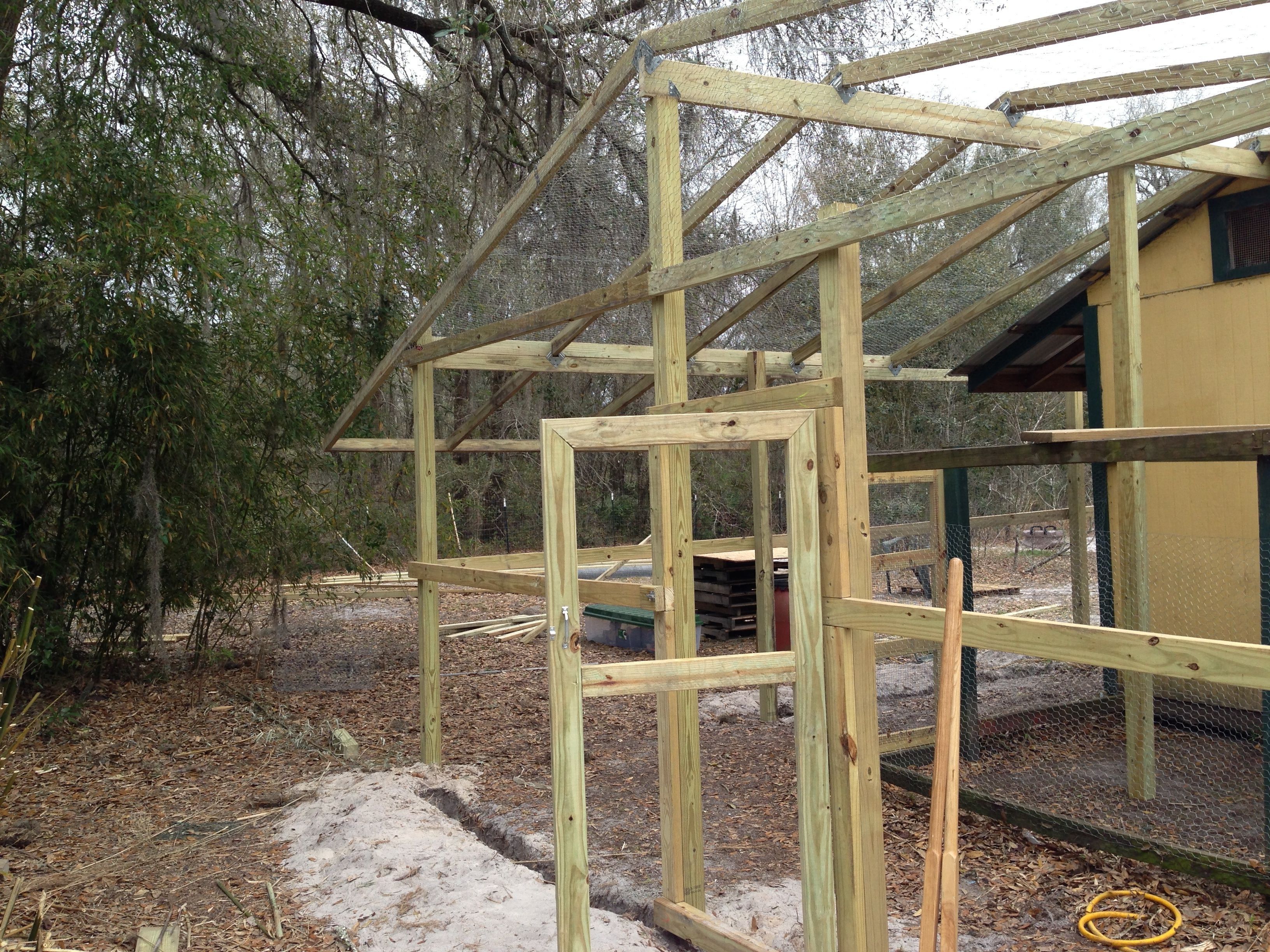 The trench is a foot deep to bury some of the 5 foot dog fencing that will be around the bottom of the aviary walls.