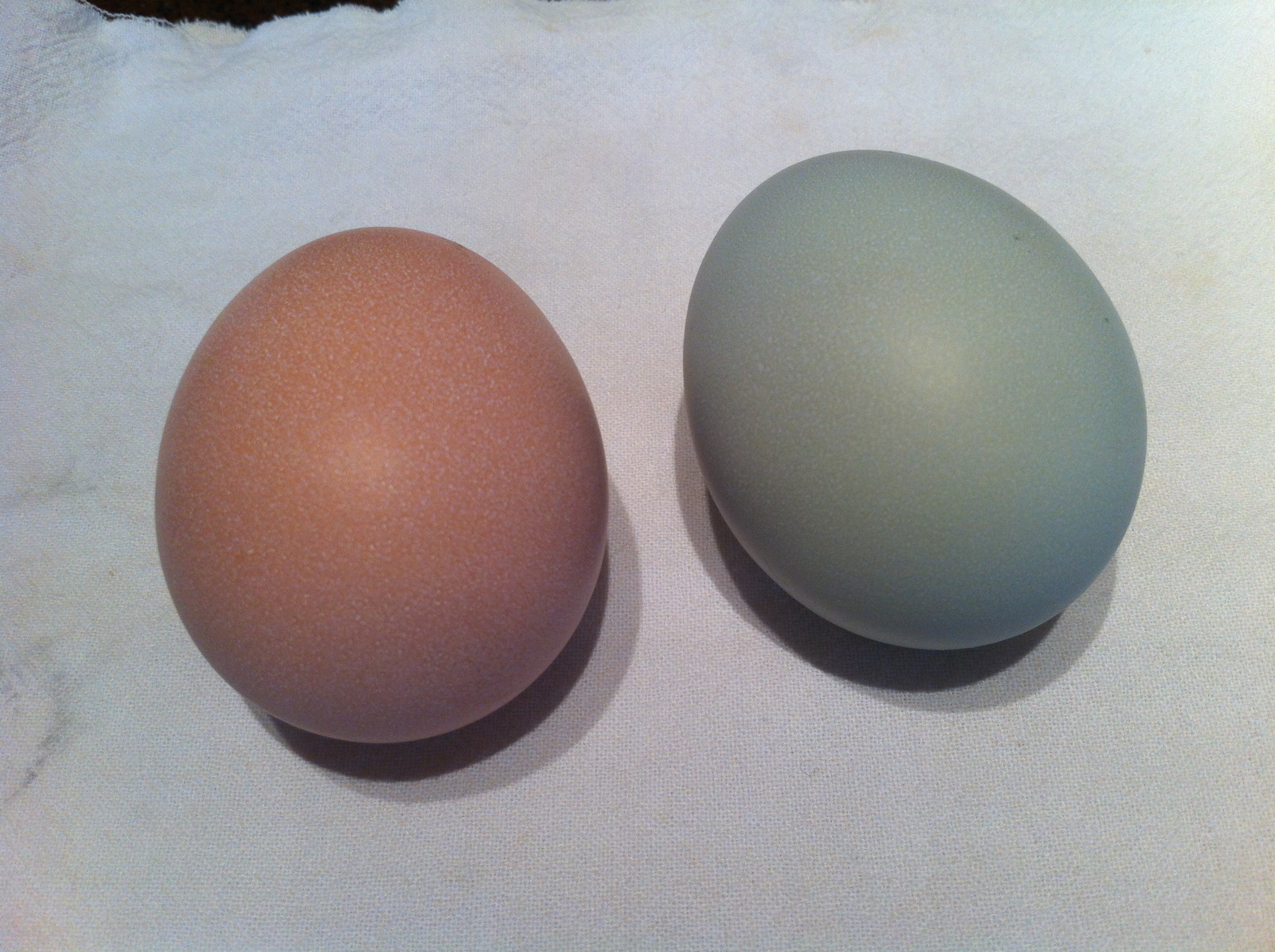 The two shades: brown and blue.