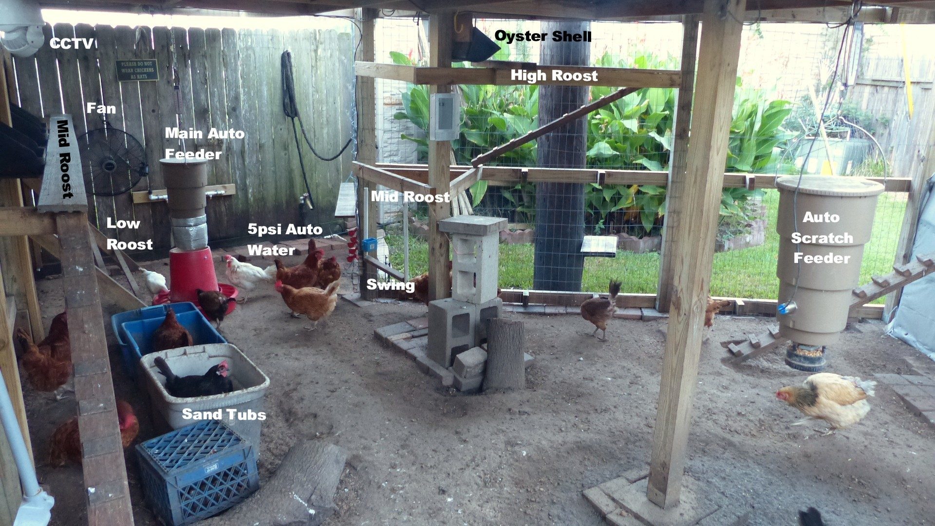 The ultimate backyard chicken coop & run. A/C, Heater, Gable Fan, auto 5psi watering inside and outside, Electric Door, ISY/Insteon control on everything. Operated by phone, pc & scheduling for lighting, door, A/C, Fan(s) based on outside temperature, humidity, etc. Outdoor fan, sensors on water pressure, low feeder, low scratch feeder & High Temp in Coop. All alarms sent by text to phone. Auto Feeder, Auto Scratch Feed 3 times/day. 2 PTZ 1080p ChickenRun & Coop Cams, 23 hens.