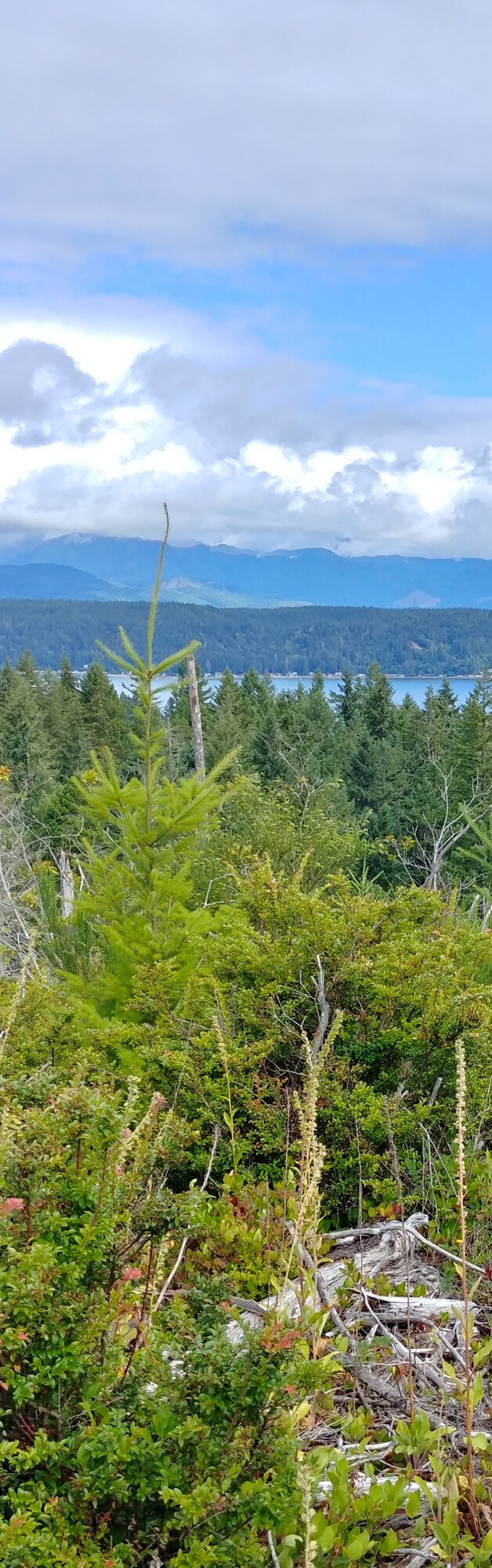 The view in Washington!
