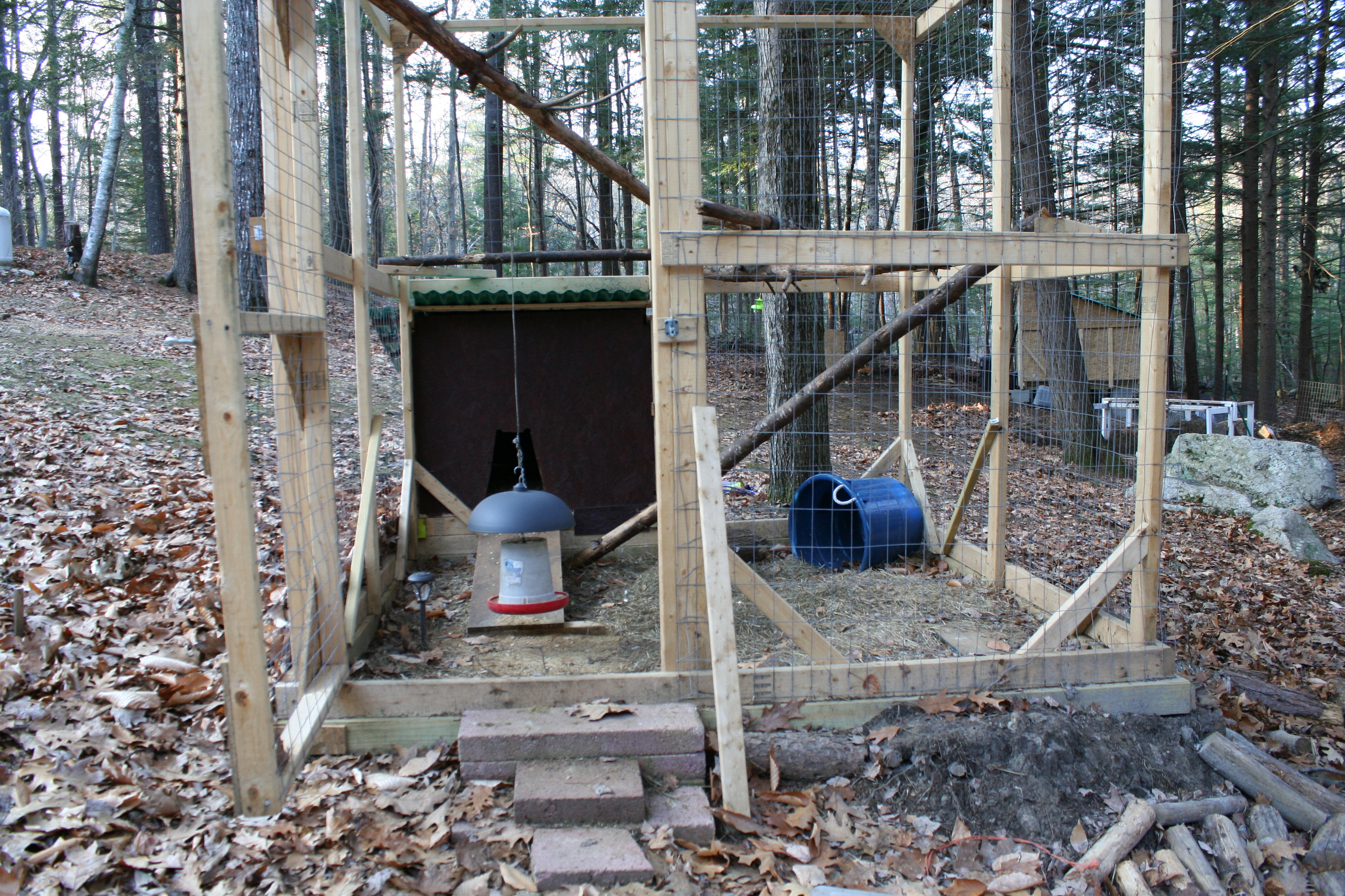The view of the duck hut from the front.
