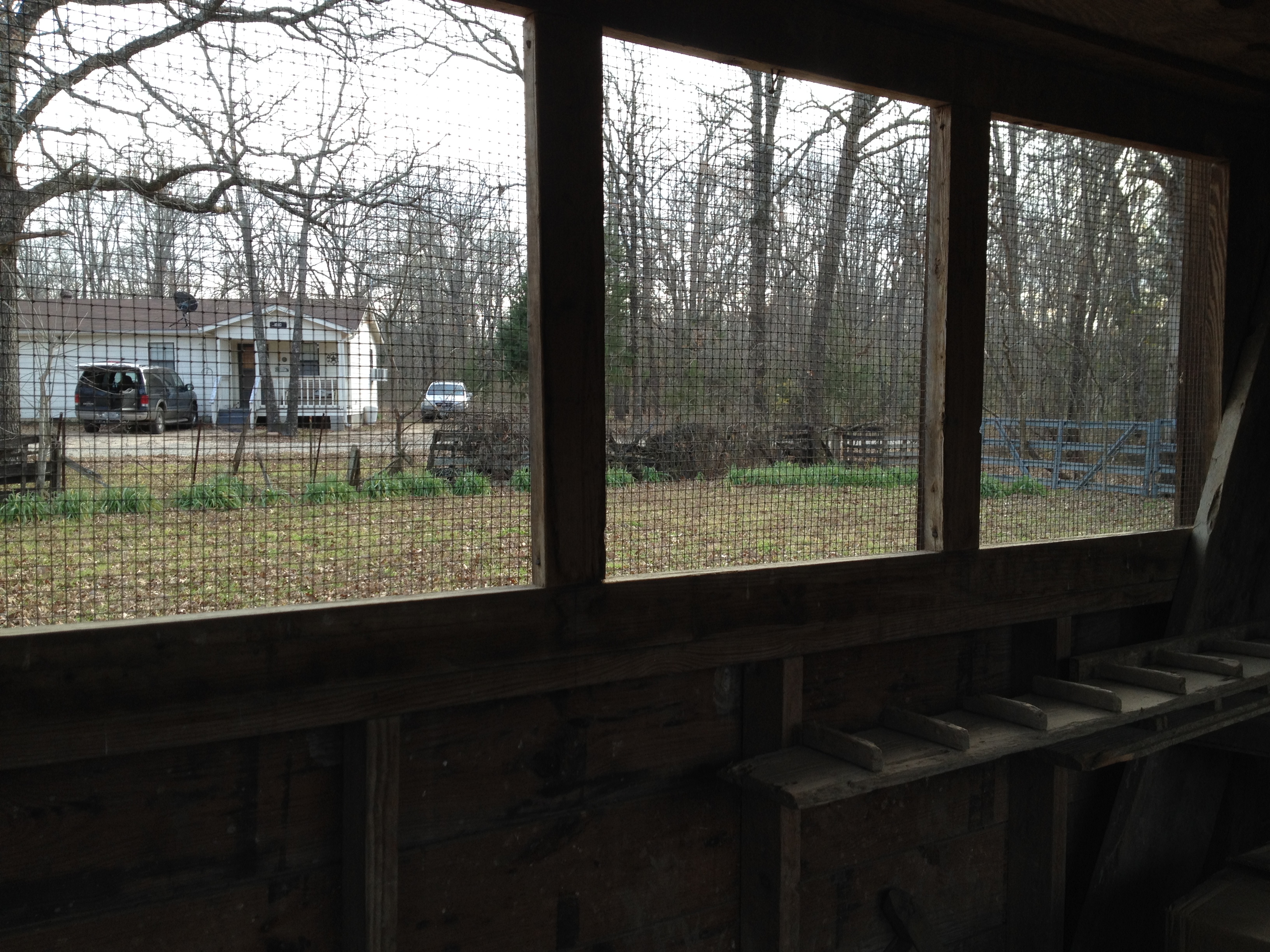 The view south from the coop. That is Balloonjuice Bungalow in the left window. The windows are covered in hardware cloth (1/4") and the shutters open downward.