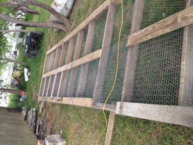 The wall and door. We are reinforcing the bottom of the wall with chicken wire, welded wire and then the added 2x4. Its a reinforcement / look pretty.