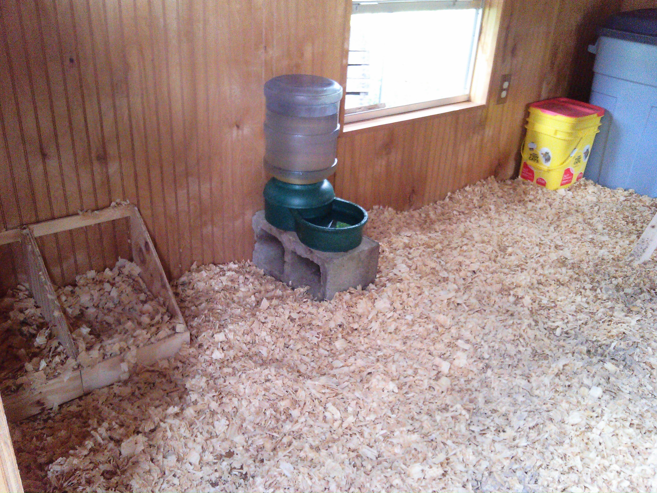 The waterer is an old dog waterer on a cinder block to keep it off the floor and hopefully won't get too many shaving thrown in it. The nesting boxes are in the corner ... haven't decided if I should raise them up or not.