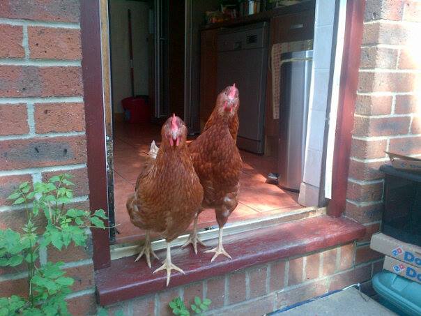 The Welcoming Party!