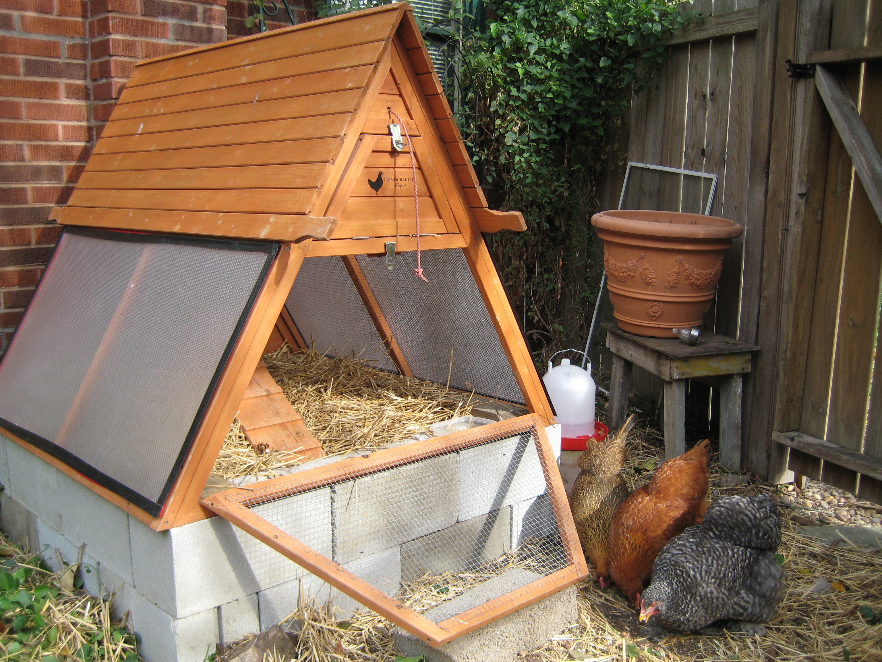 The winterized version of the chicken tractor, raised on blocks. Stuffed with straw and windows in place, it is ready for cold, windy days.