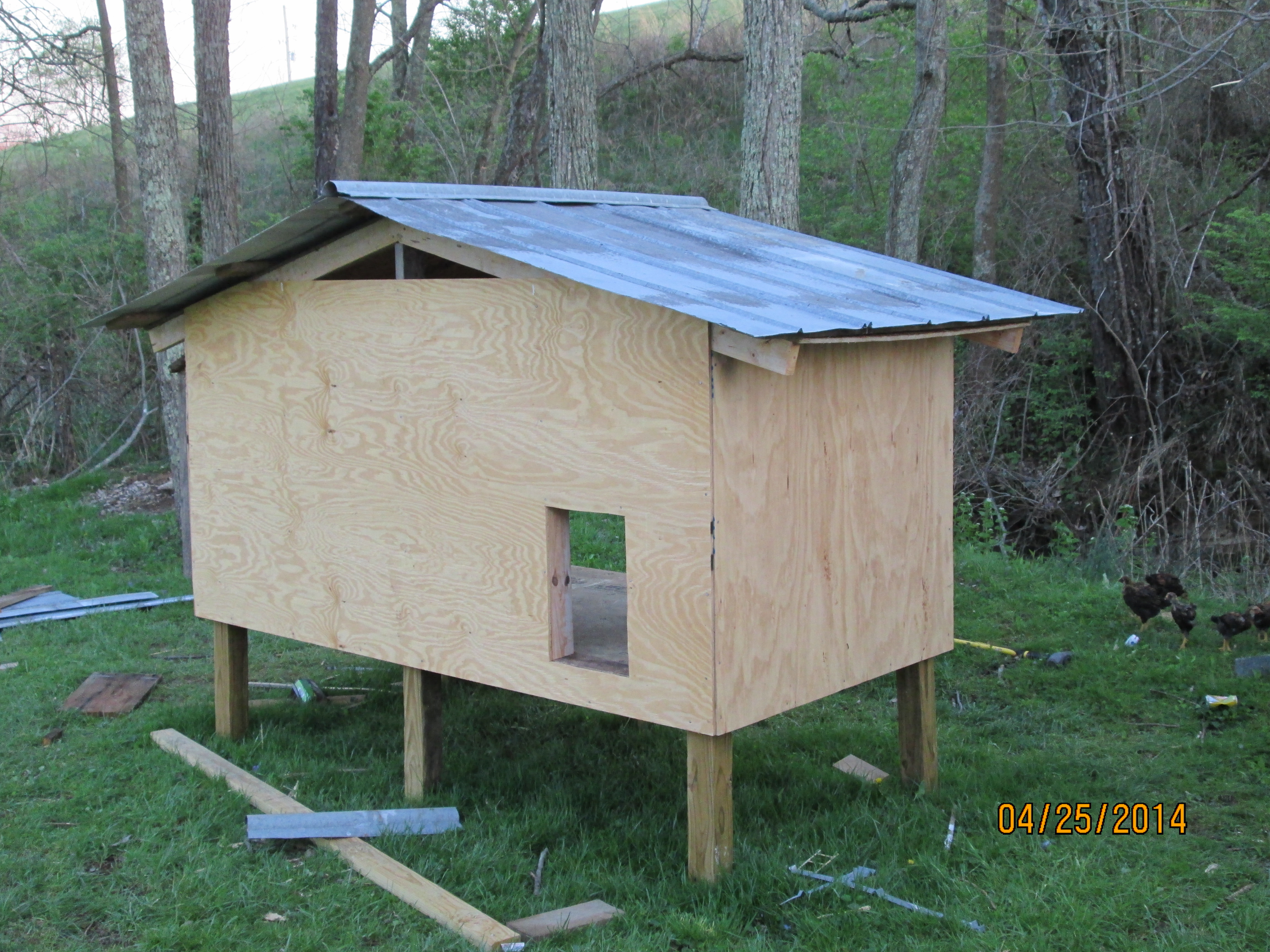 The Wyandottes Coop in construction
