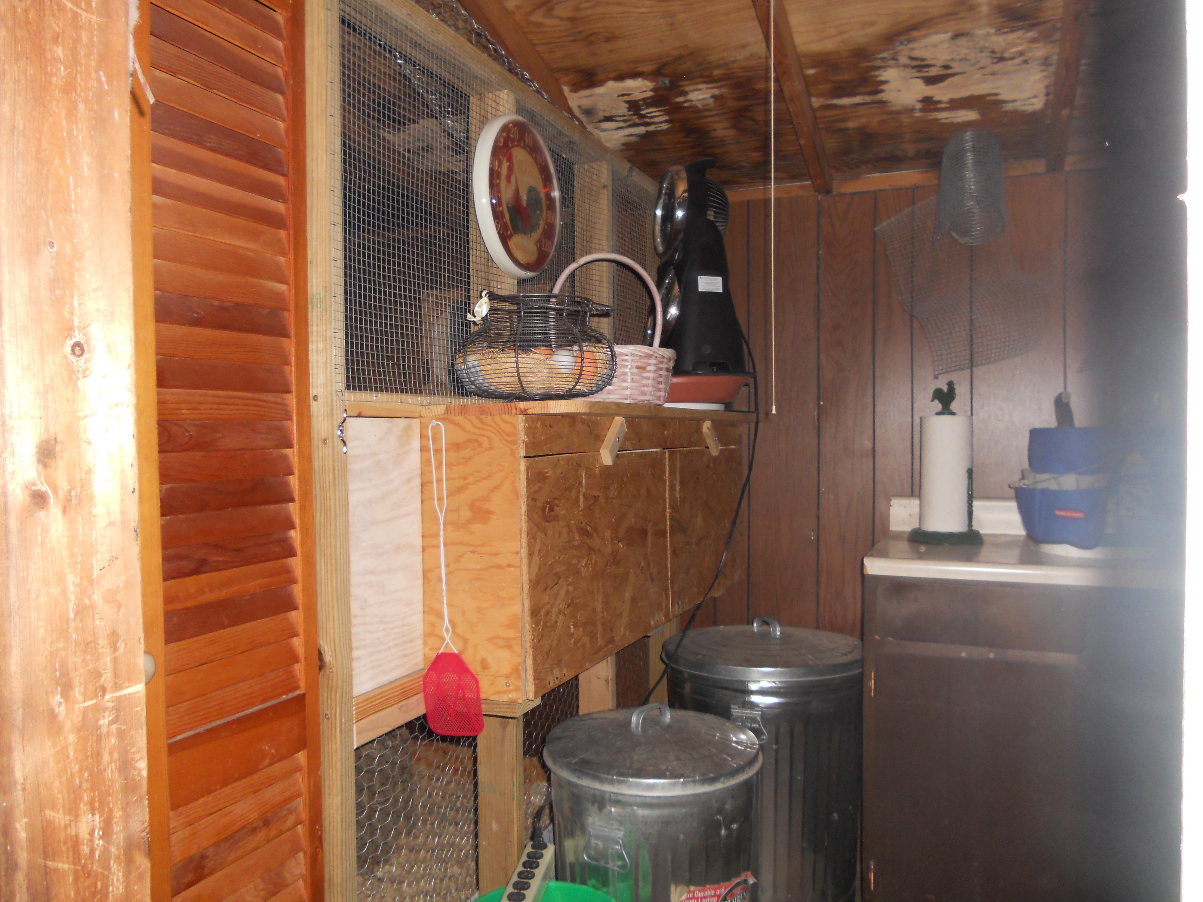The yard barn is 8' x 10'. The inside is divided into a 4' x 8' coop and a 6' x 8' potting/gardening shed. My husband framed the inside dividing wall and used an old louvered door for the "people door". The rest of the wall is made up of chicken wire and an electric fan circulates air.