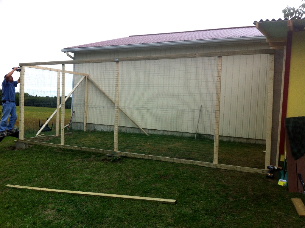 the yard is 10 x 24- I wanted it bigger, so maybe next spring we will enlarge it