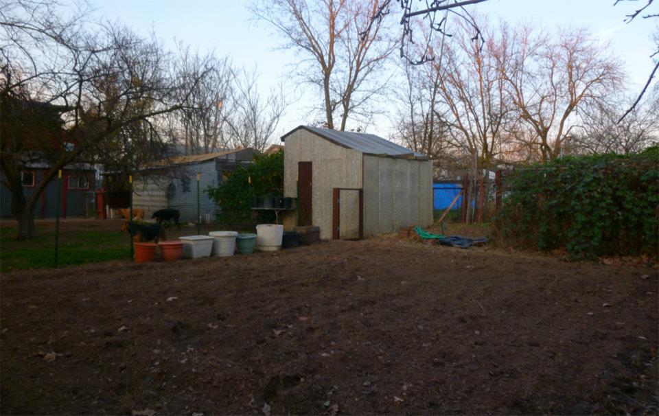 The yard view - chickens to right of greenhouse