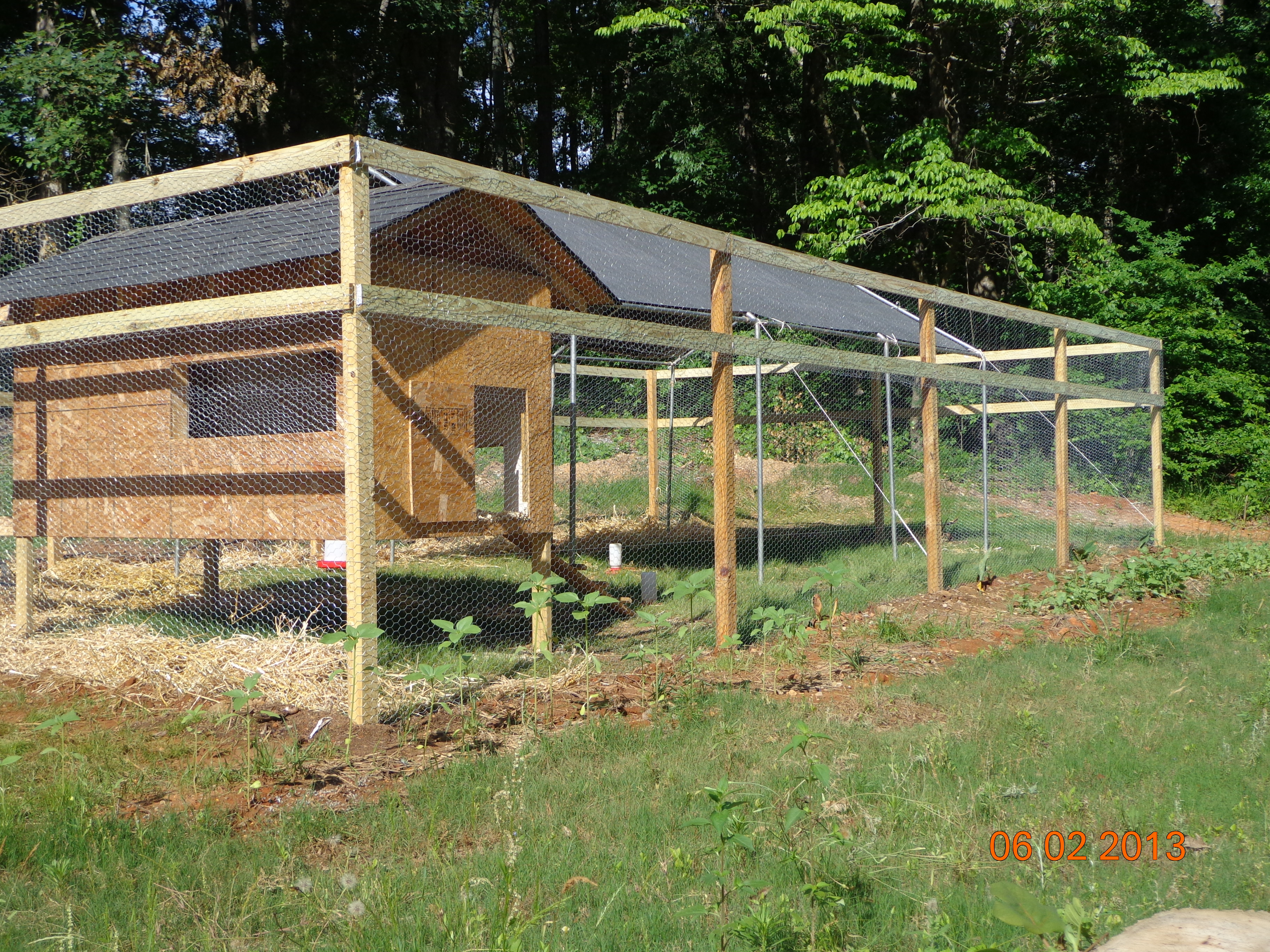 Their coop and pin, still need to paint and add some trim and the nesting box.