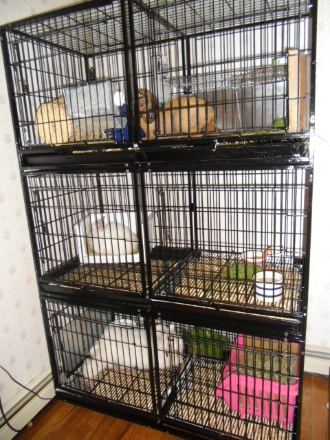 Their home