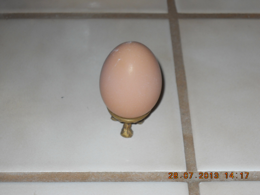 Thelma's and my first egg, see how perfect and beautiful it is...