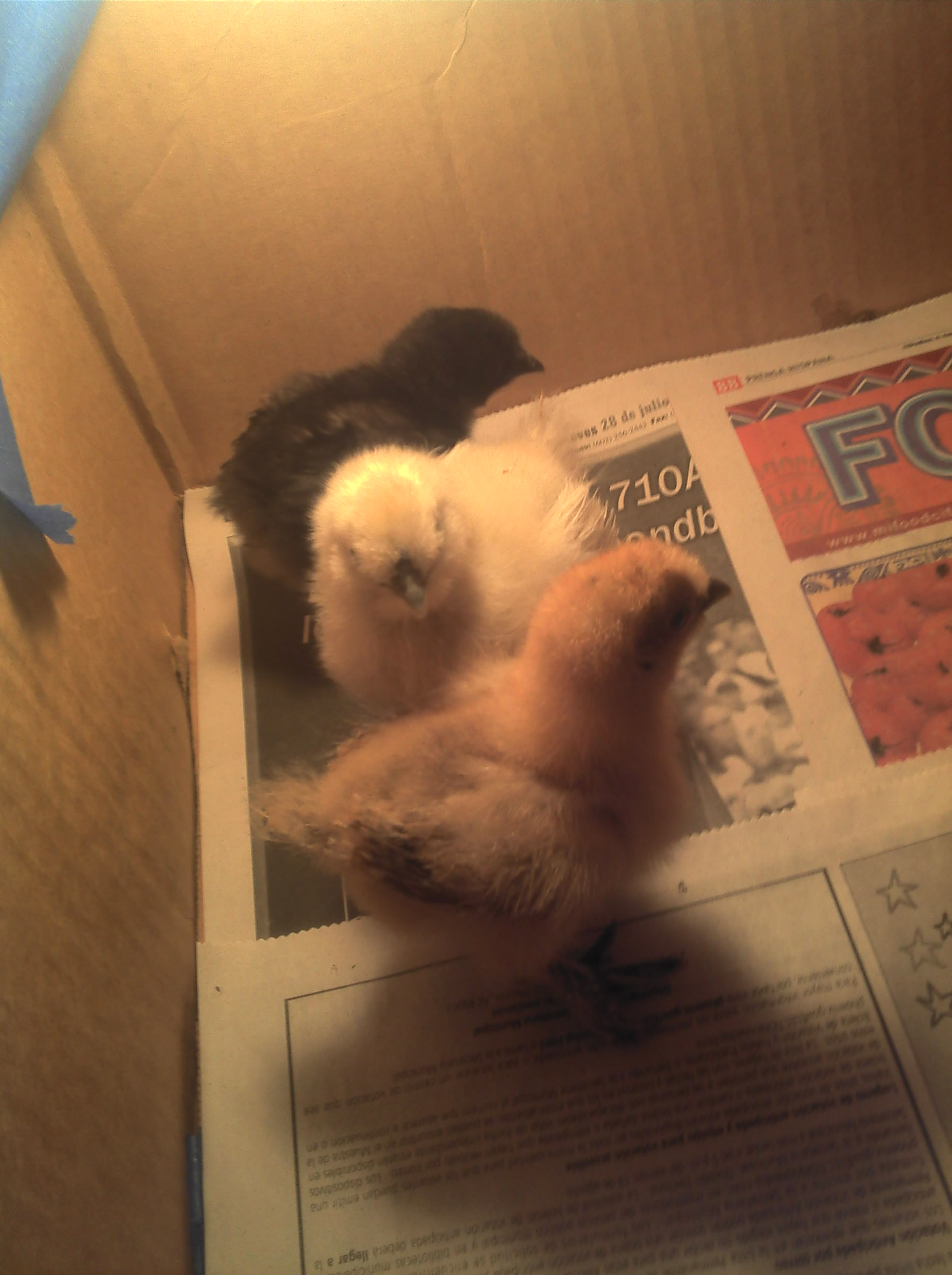 Them again..
