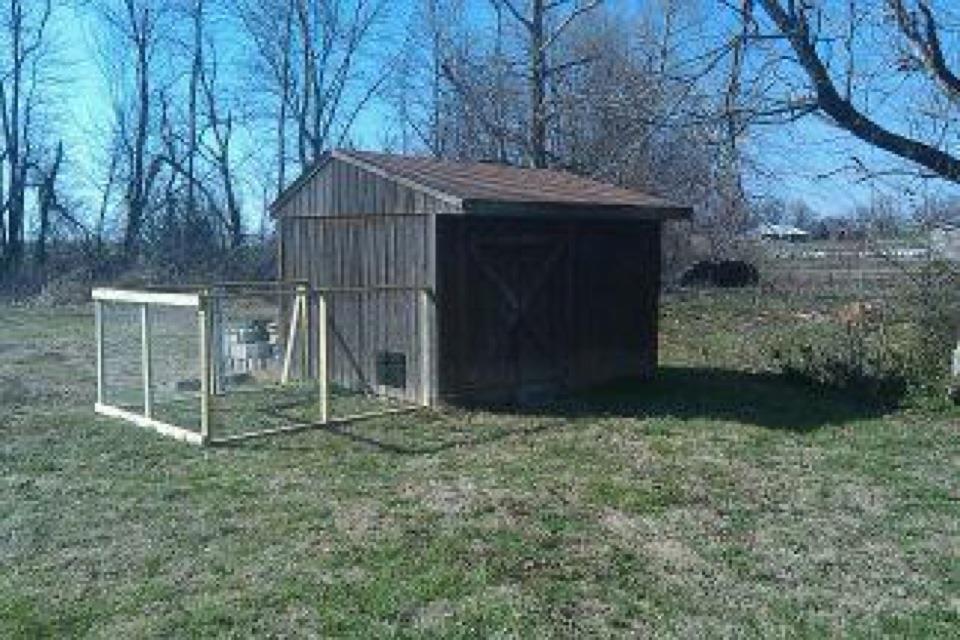 Then is started to become a new coop for my new chicken family.