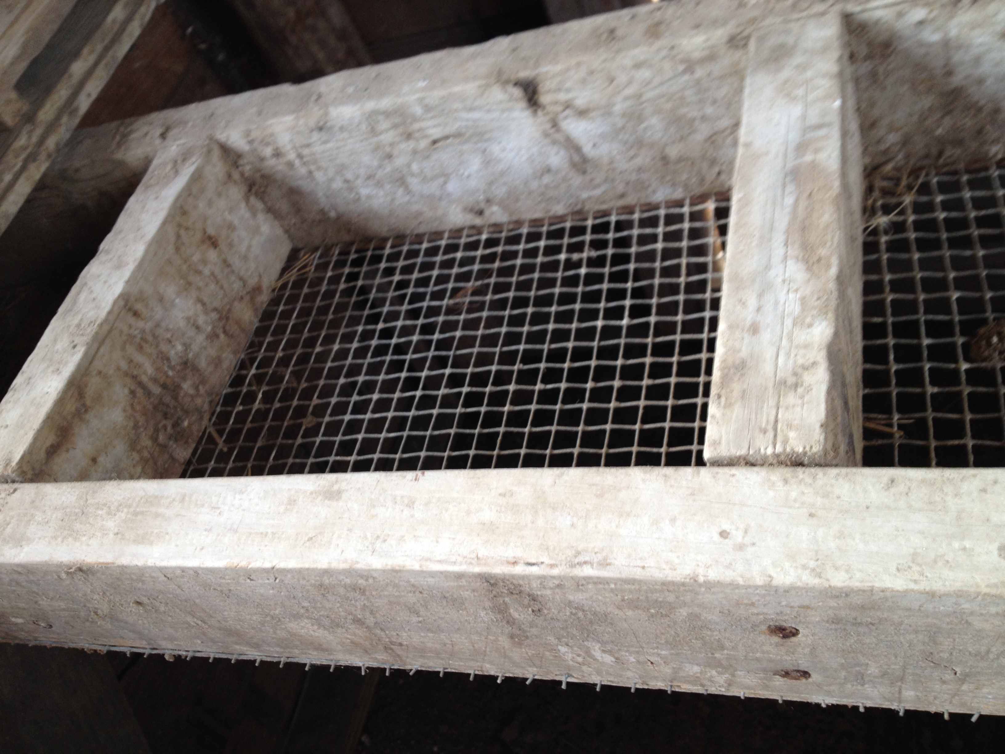 There are 18 (eighteen) of these roosting areas if that's what they are. Perhaps I could fit a small nesting box inside the frame. To give perspective, the wood is 2x4 and the screen is 1/4" hardware cloth.