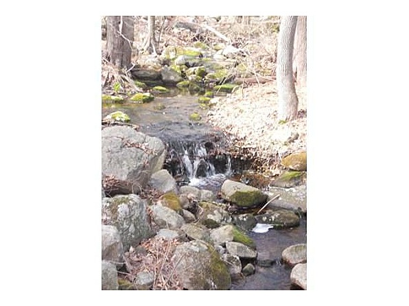 There is a lovely little brook that runs through the property. I can't wait to uncover it. Current owners have let it become over run with brush.