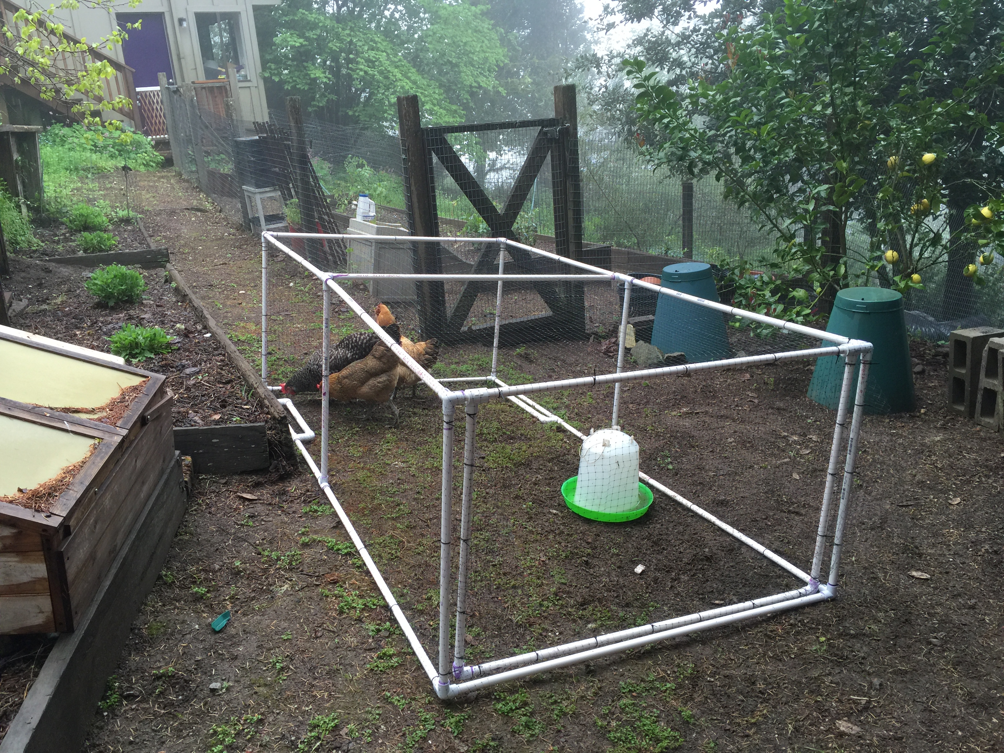 There is black bird netting on all side except the bottom. We place the waterer in before the hens, and the flap door can be used, but so far we have just put them in by lifting the side up.