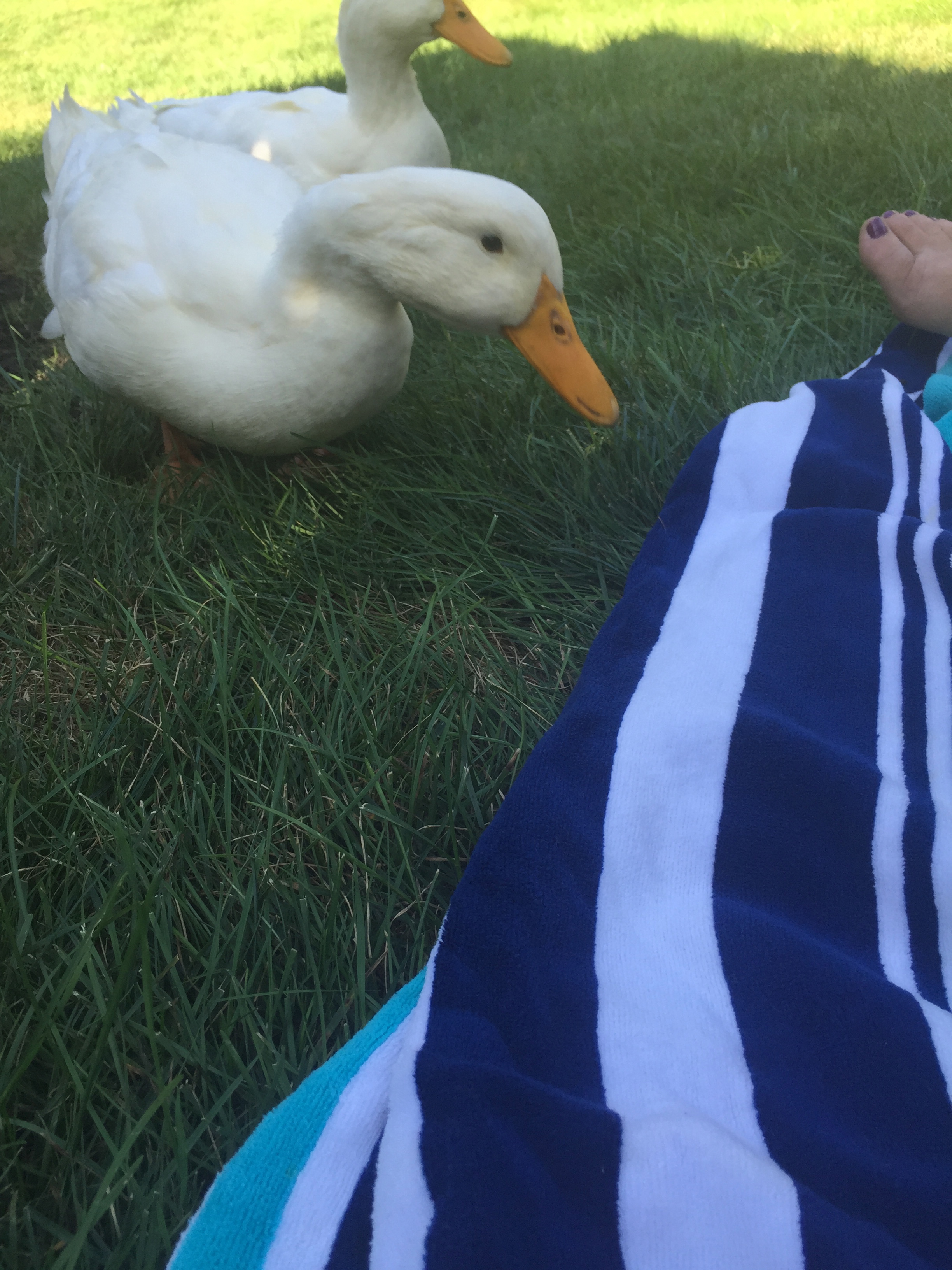 These 2 are into everything.