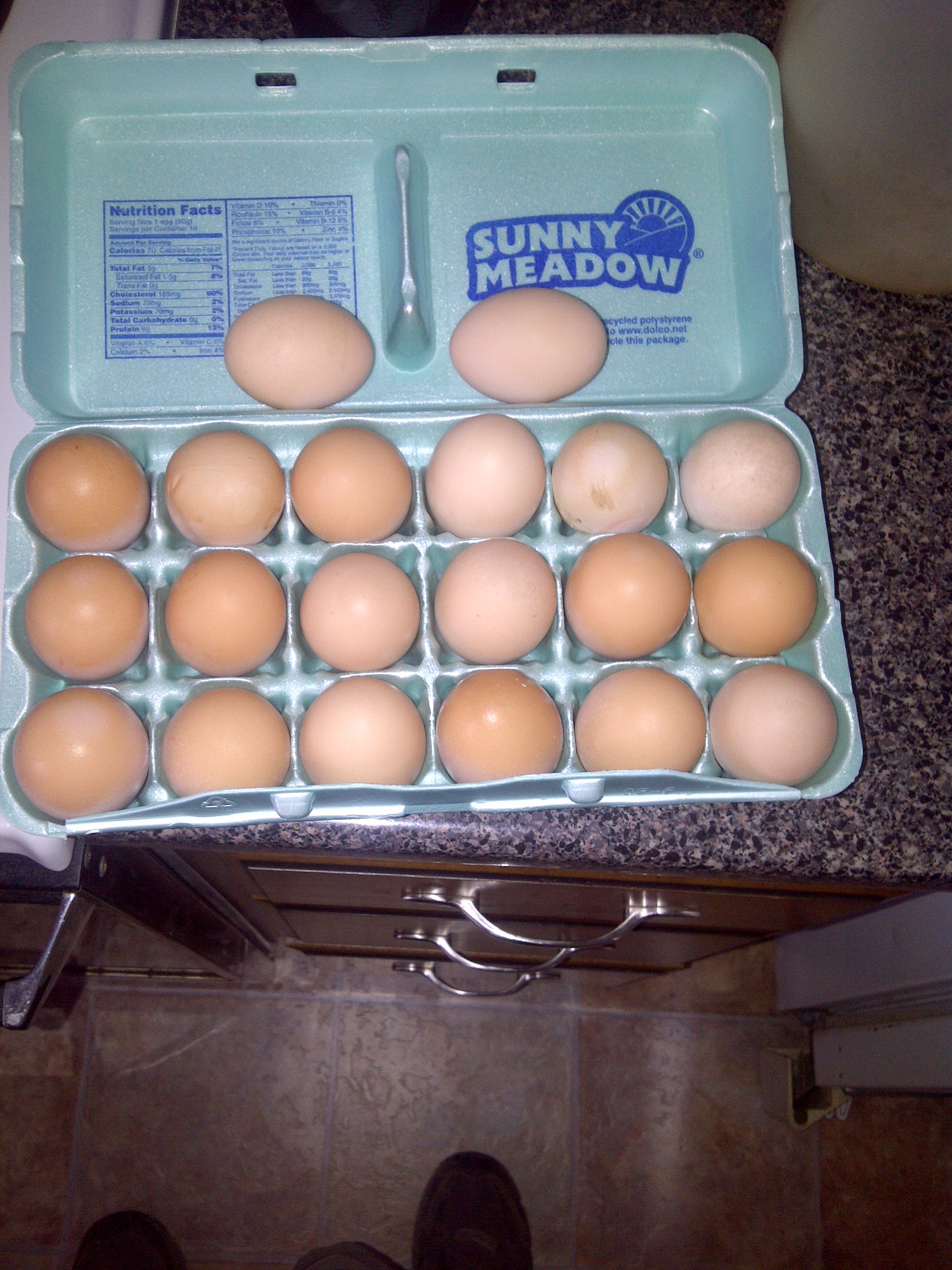 These are from my 3 barred rock hens!