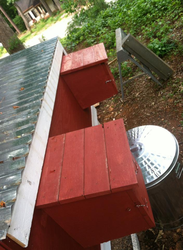 These are the backs of our nesting boxes - soon to be replaced