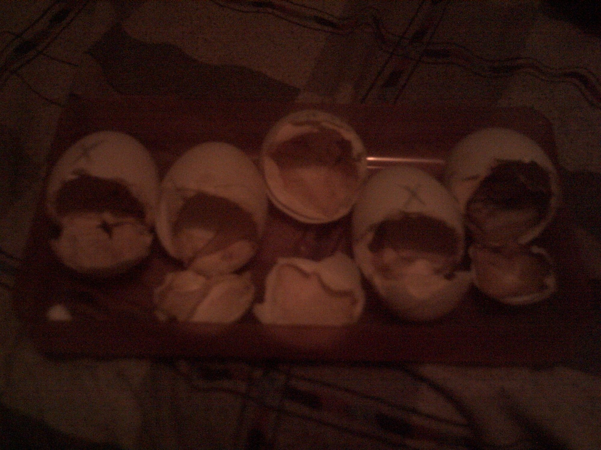 these are the eggs shells that my ducklings hatched from