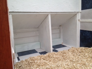 These are the nesting boxes as viewed from the inside of the coop (now covered with bedding).  Our adolescent hens actually dogpile in there when they sleep at night!