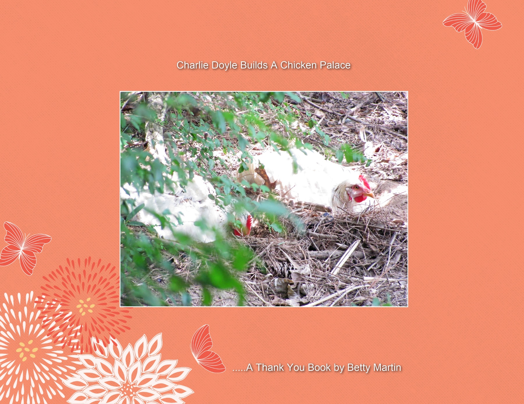 These are the pullets born in Feburary, Buff Orphington-White Leghorn crosses.