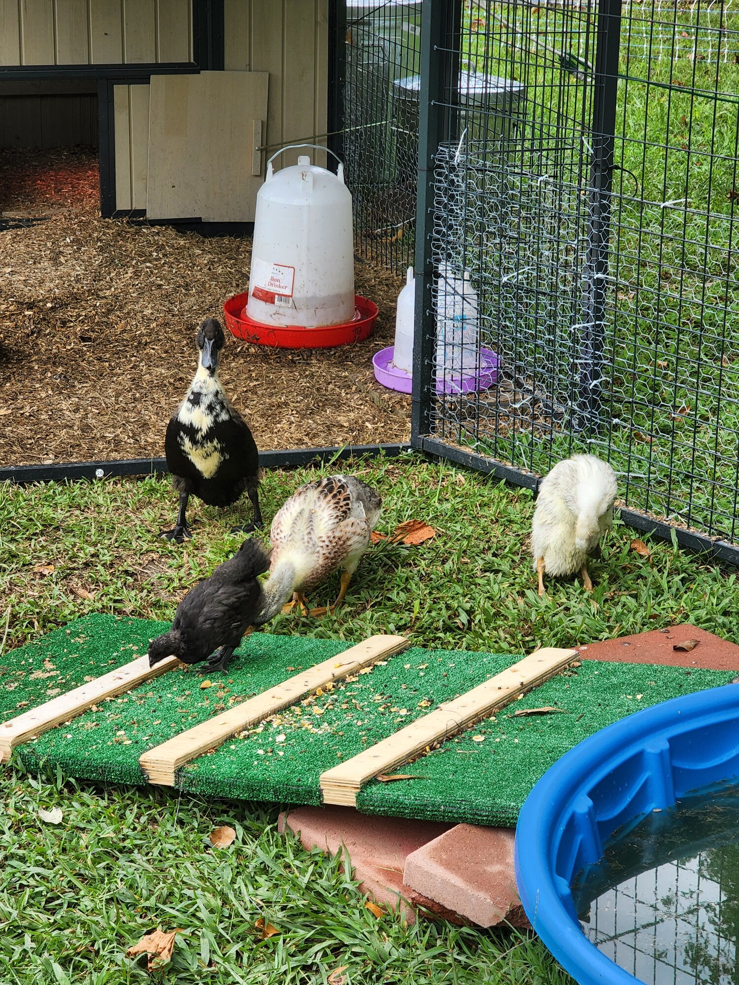 These days were my favorite