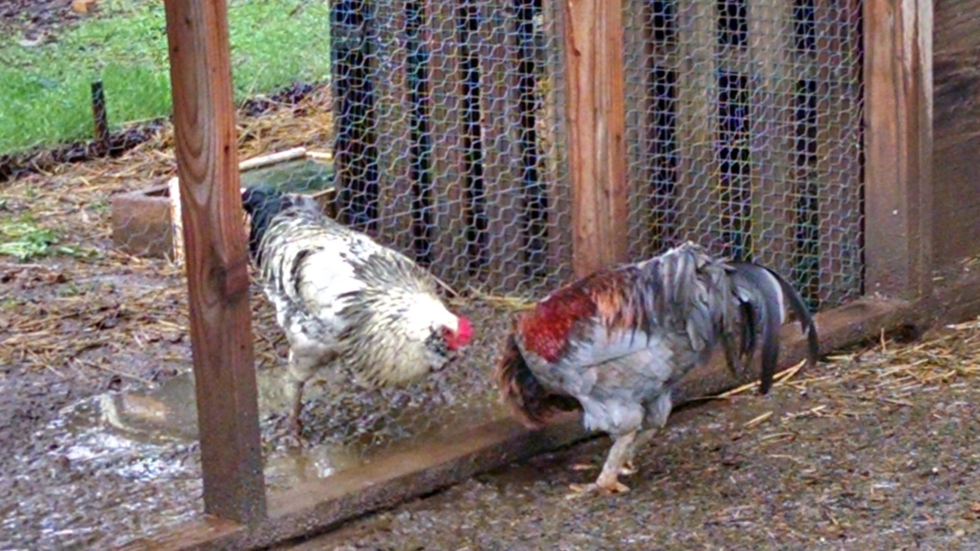 These two are so funny.