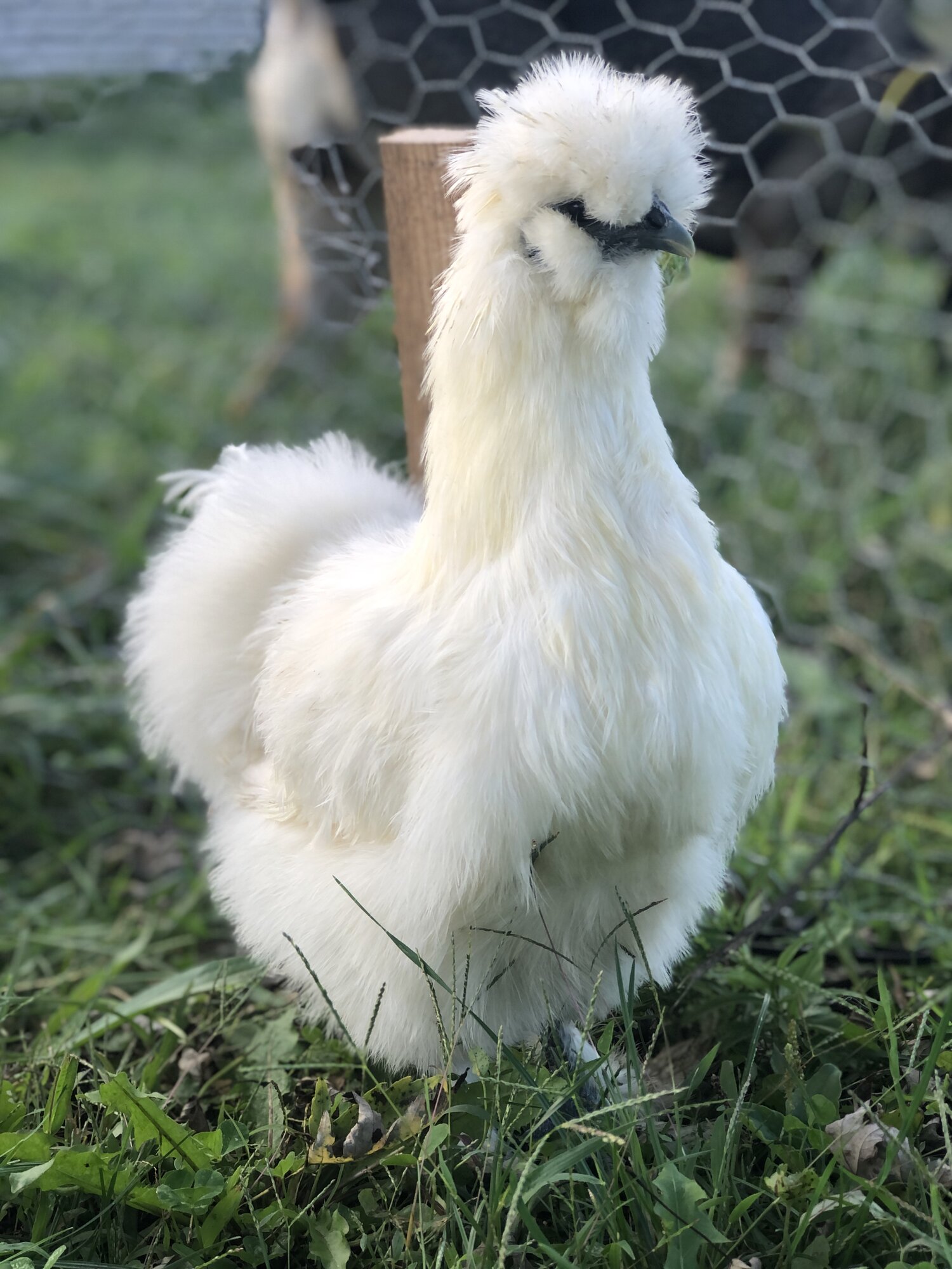 They’re growing fast