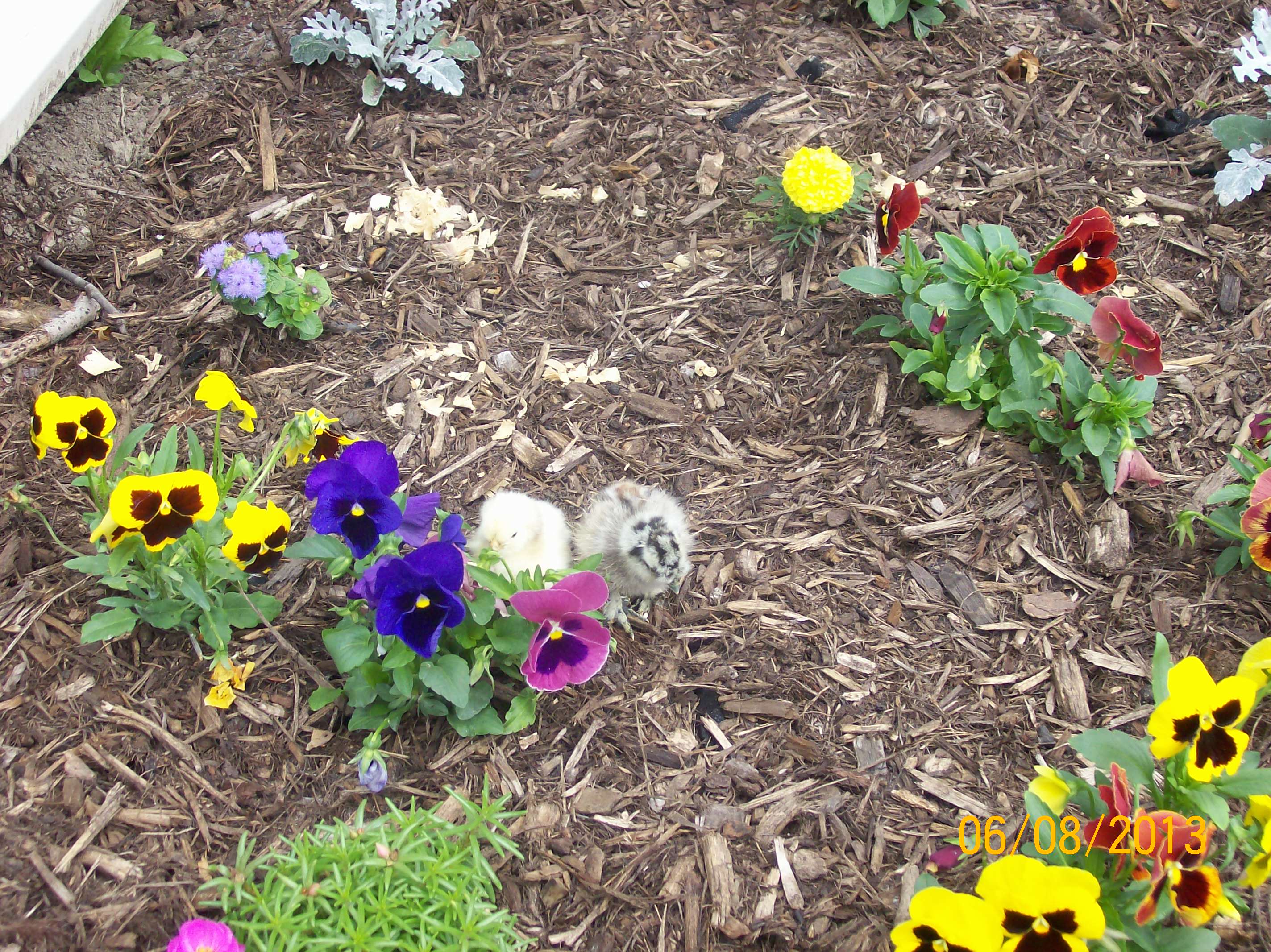 They are so active today